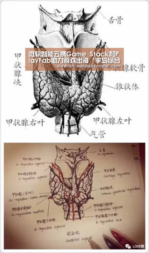 微软智能云携Game Stack和PlayFab助力游戏出海‘半岛综合’