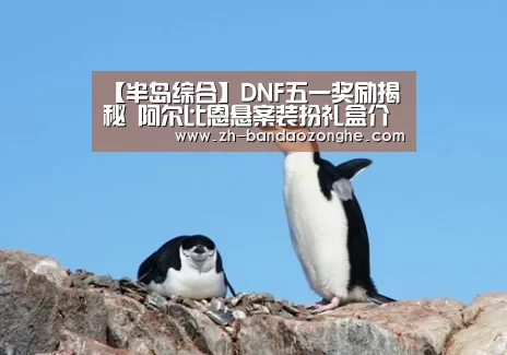 【半岛综合】DNF五一奖励揭秘 阿尔比恩悬案装扮礼盒介绍(图2) 半岛综合
