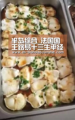 半岛综合_法国国王路易十三生平经历如何评价路易十三?(图4) 半岛综合