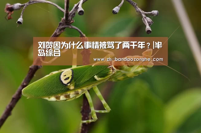 刘贺因为什么事情被骂了两千年？|半岛综合
