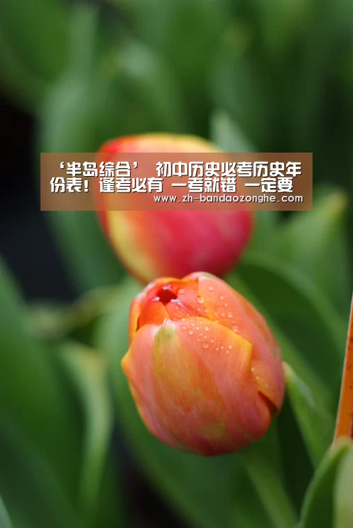 ‘半岛综合’
初中历史必考历史年份表！逢考必有 一考就错 一定要让孩子记熟