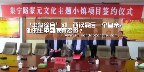 ‘半岛综合’刘衎西汉最后一个皇帝，他的生平到底有多惨？