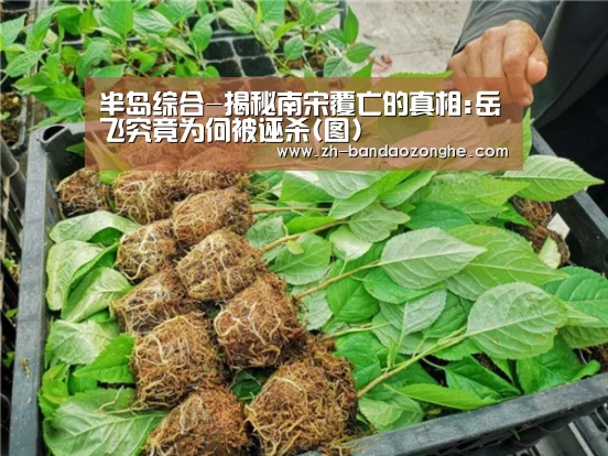 半岛综合-揭秘南宋覆亡的真相:岳飞究竟为何被诬杀(图)(图2) 半岛综合