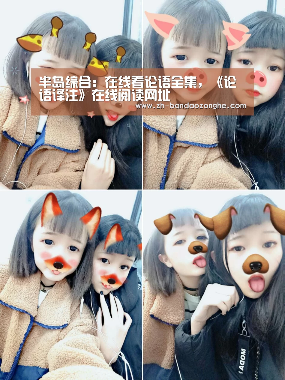 半岛综合