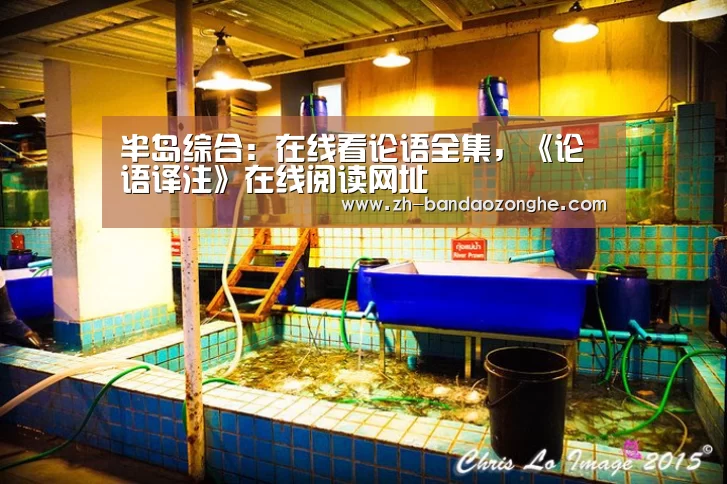 半岛综合
